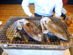 P1000767.JPG