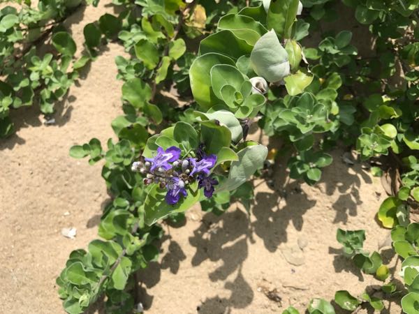 rblog-20170822141656-05.jpg