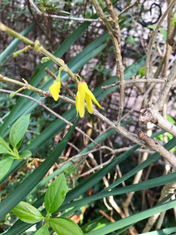rblog-20190401164110-03.jpg