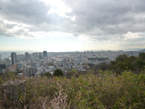 P1140914(1).JPG