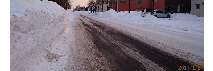 １／２道路の雪が溶け始めた.jpg