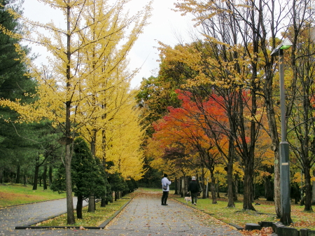 2015-10-12kouyou5 (1).JPG