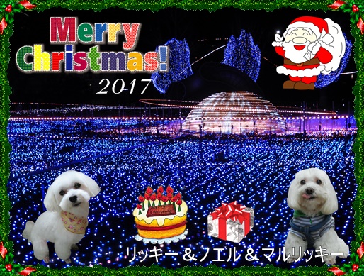 2017クリスマスカード_リッキー＆ノエル