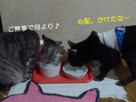20151018_4.jpg
