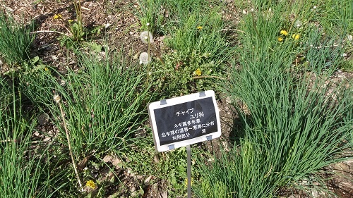 106.JPG