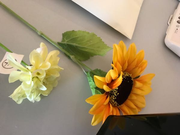 rblog-20170723122457-04.jpg