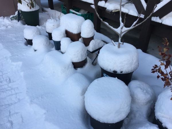rblog-20180123075304-02.jpg