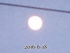 IMG_0997.JPG