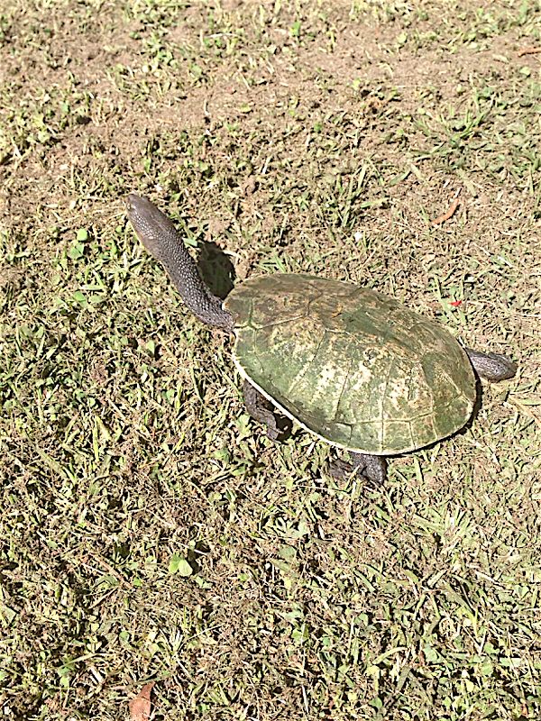 rblog-20141004220728-01.jpg