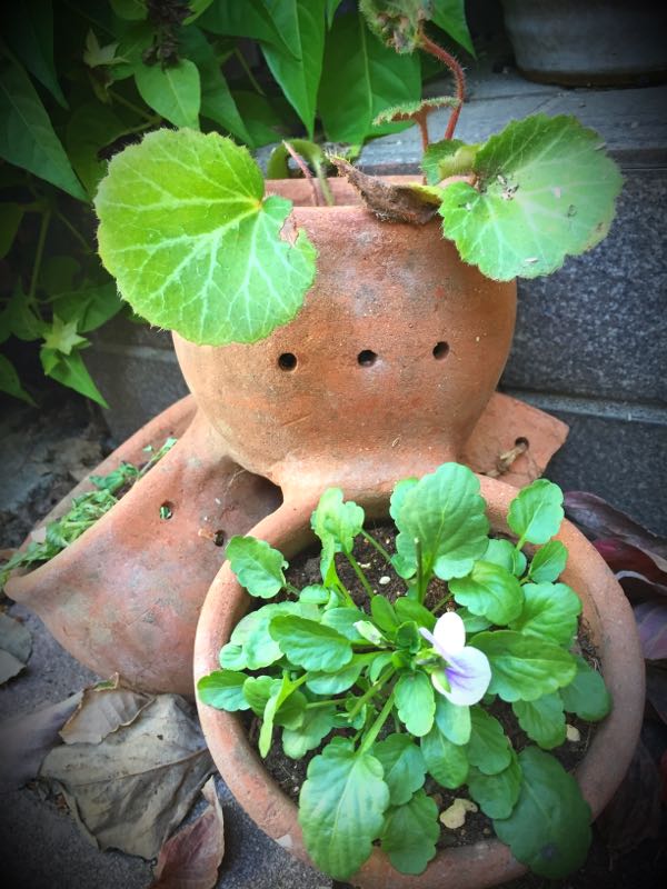 rblog-20151025172038-04.jpg