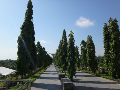 連絡通路