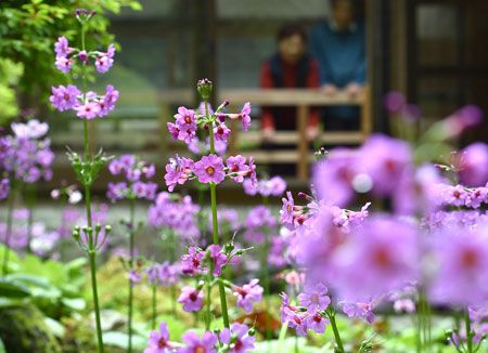 "おいない"の京都最新情報 | 日本に京都があってよかった：京都最新情報発信 - 楽天ブログ