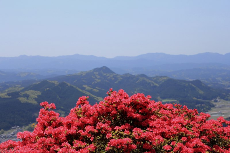 鳥見山_03.jpg
