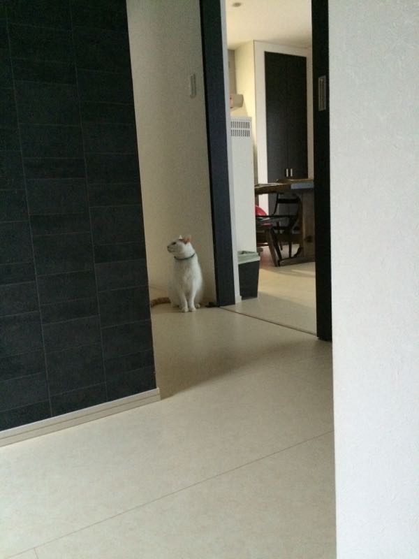 rblog-20150910062632-04.jpg