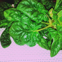 rblog-20140210090917-01.png