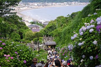 kamakura-ajisai1.JPG