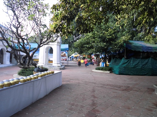 CIMG0465.JPG
