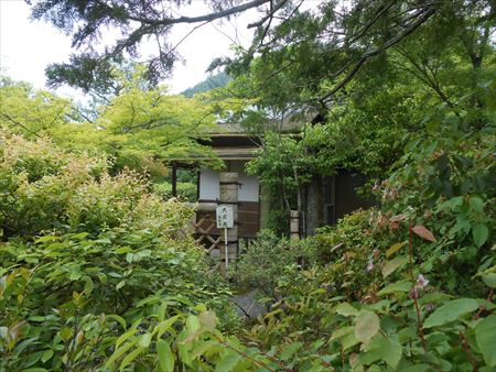 京都　鷹峯　光悦寺