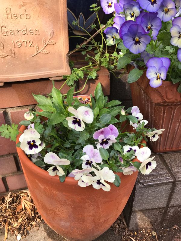 rblog-20190401164419-04.jpg