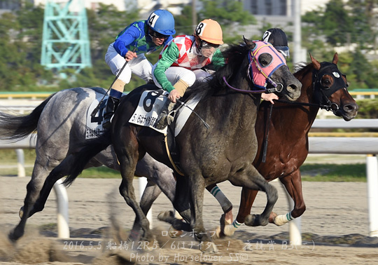 08RomanHope050516Fn12R_01