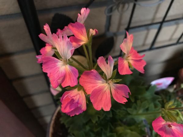 rblog-20180328191719-04.jpg