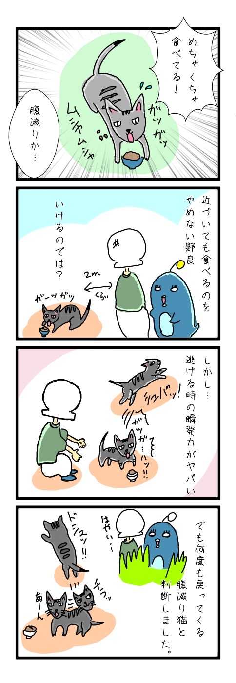 猫との出会い がっつき編 | ムー大陸にセミが鳴く - 楽天ブログ