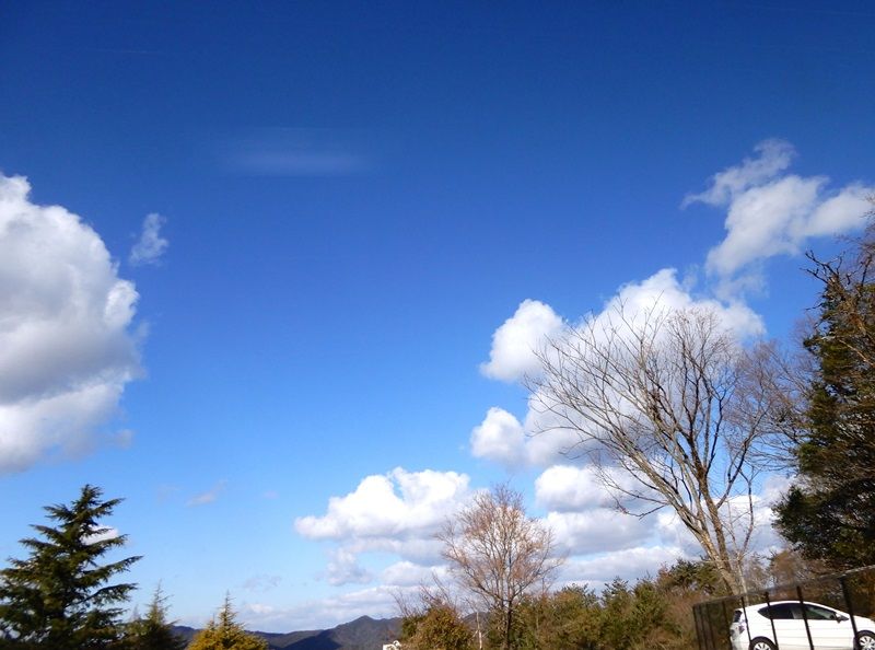 空3