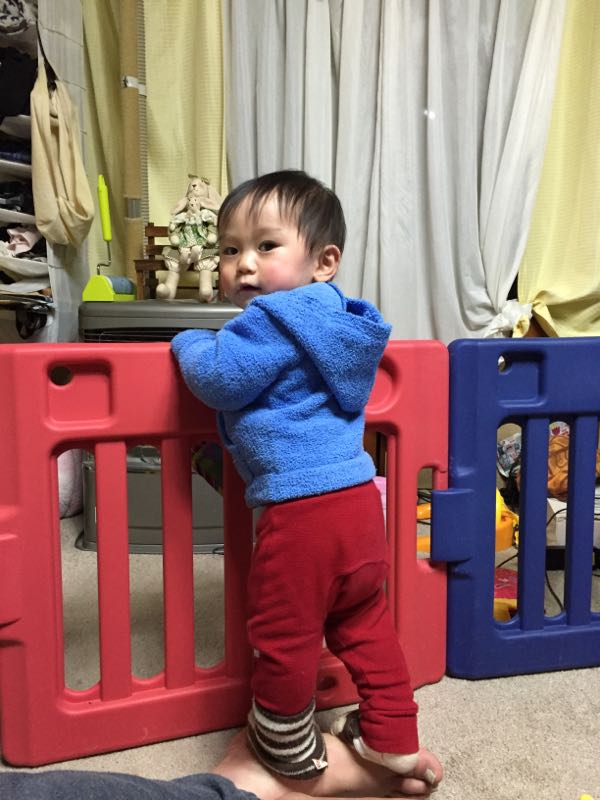 rblog-20150203214625-01.jpg
