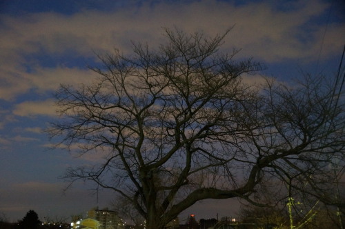 DSC06196b20160202.jpg