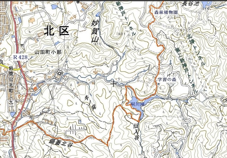 マップ
