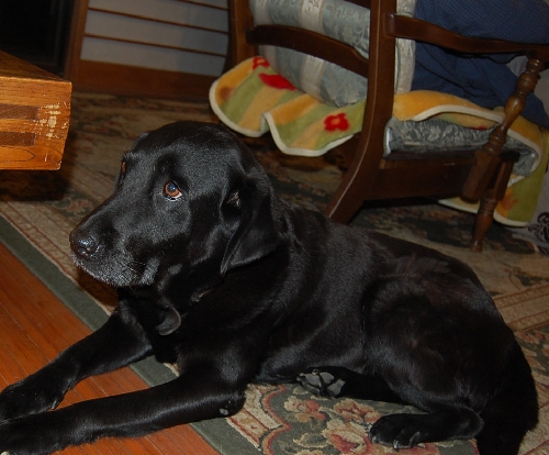 DSC_0191.JPG