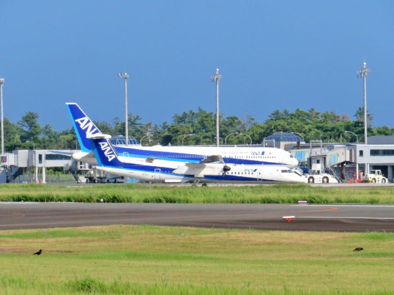 ひとりで飛行機を眺めてきた。 しゅうとゆうこの日帰り応援ドライブ！頑張れ大分トリニータ！ 楽天ブログ