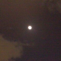 5月3日のお月様２