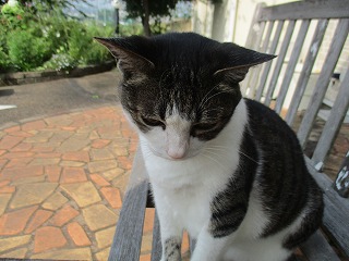 IMG_4467ss.jpg