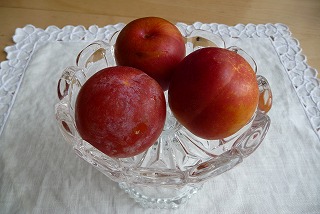 P1040977ss.jpg