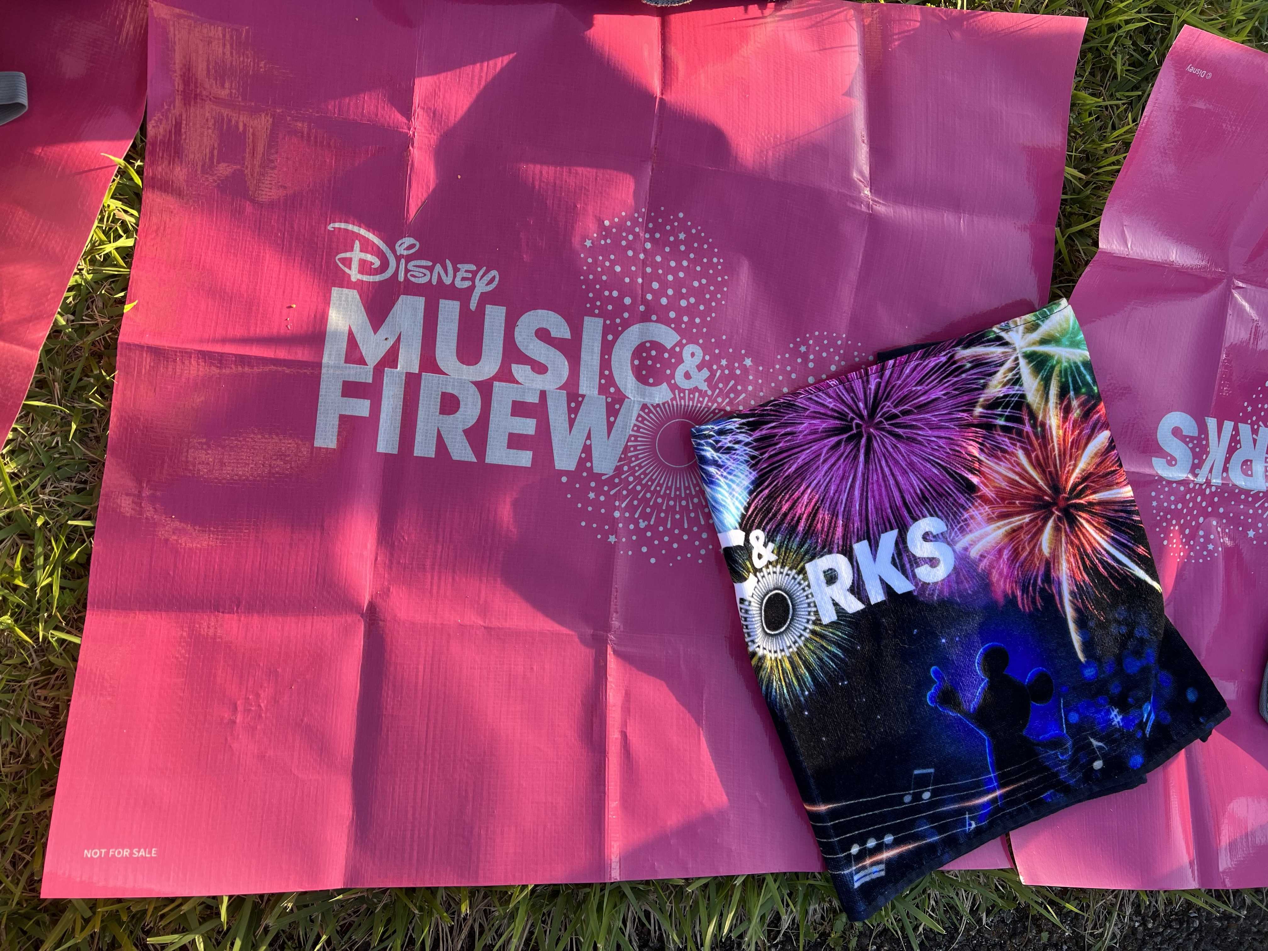 Disney MUSIC & FIRE Works | 地方民のDisney Life - 楽天ブログ