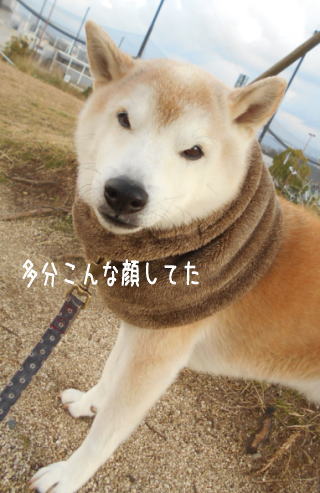 0109夕1.jpg