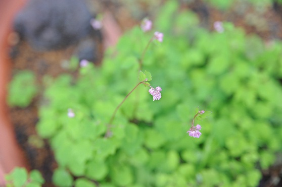 2013.5.24 047.JPG