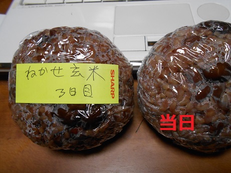 おにぎり.JPG