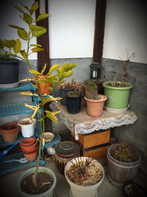 rblog-20160327164221-08.jpg