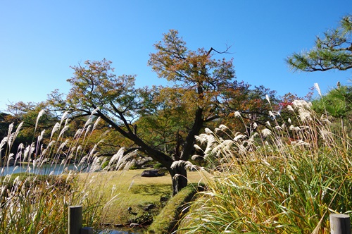 六義園にて