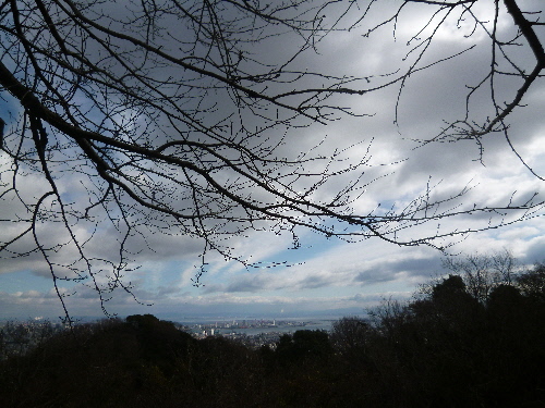P1080436(1).JPG