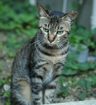5DA_4757-19.jpg