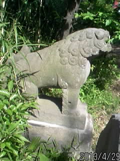 頼政神社の狛犬さま９