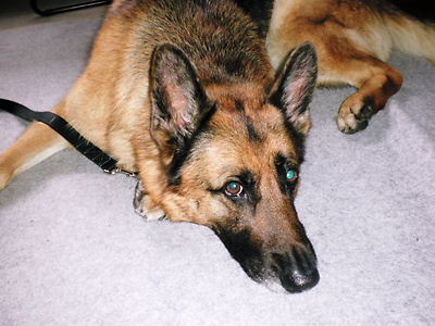 2012_0411_153015-SANY0005.JPG