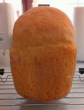 IMAG0395-1.jpg