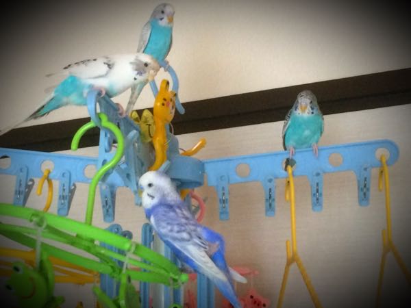 rblog-20150930110438-03.jpg