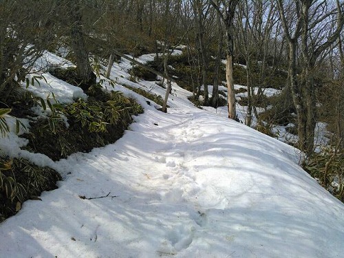 20150318徳仙丈山山頂までの雪上ハイク.jpg