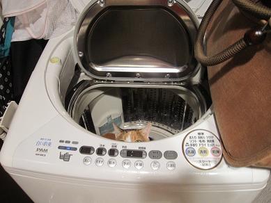 IMG_5107f.JPG
