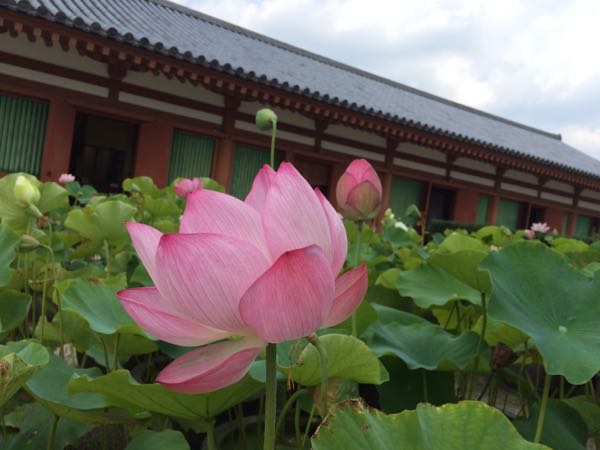 rblog-20160722161842-04.jpg